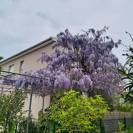 Apartment Apartman Dolly