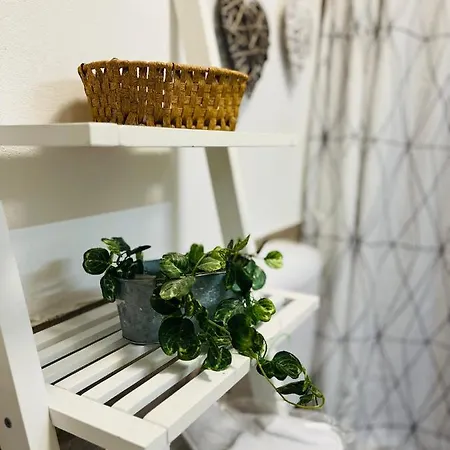 Apartman Dolly Apartment